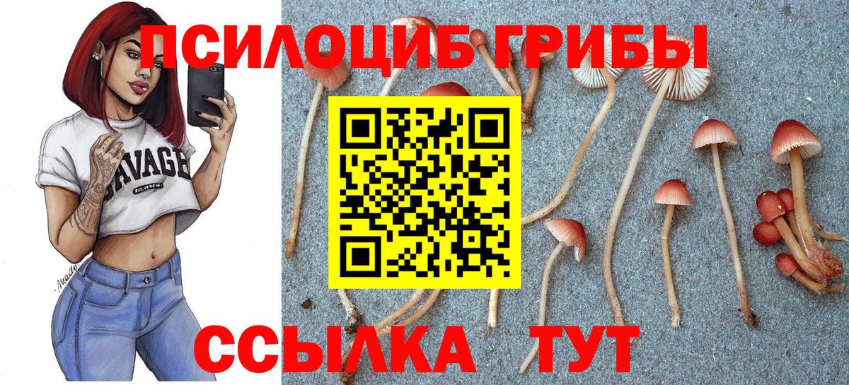 Галлюциногенные грибы Magic Shrooms  Вход с VPN  Новороссийск 